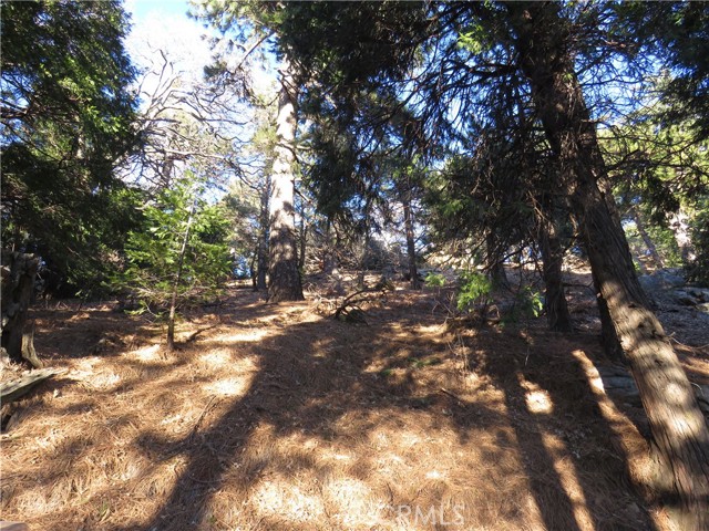 0 Peak Circle, Cedarpines Park, California 92322, ,Land,For Sale,0 Peak Circle,CRCV23013750