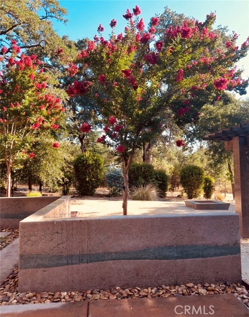 Image 5 of 9 For 1001 Louis Way