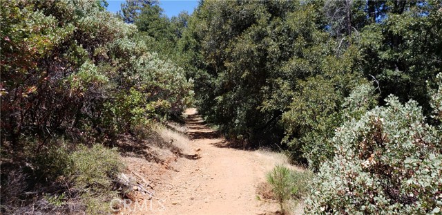 Detail Gallery Image 4 of 14 For 0 Lumberjack Road, Oroville,  CA 95965 - – Beds | – Baths