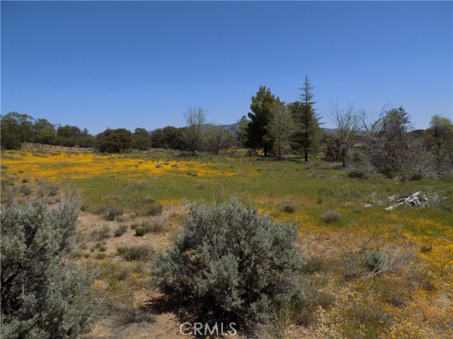 37920 Tripp Flats Road, Anza, CA, 92539 37920 Tripp Flats Road, Anza, CA, 92539