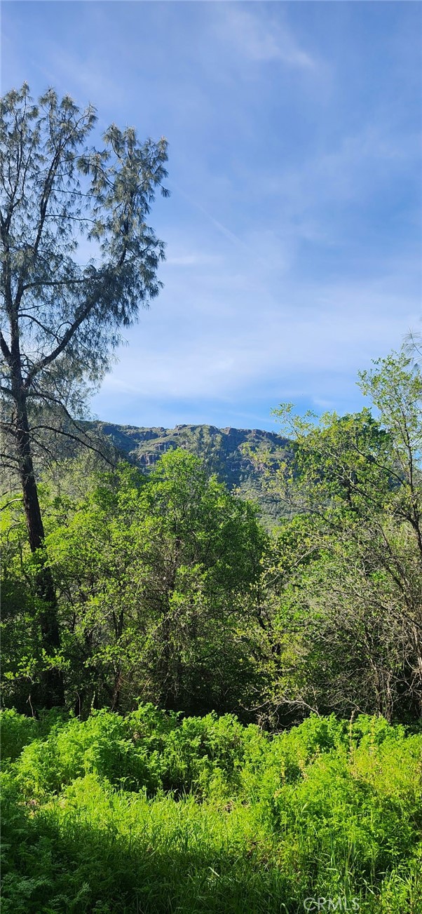 Detail Gallery Image 16 of 23 For 13566 Helltown Parcel 1, Chico,  CA 95928 - – Beds | – Baths