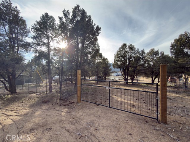 Detail Gallery Image 6 of 31 For 1820 Golden Rod, Big Bear City,  CA 92314 - – Beds | – Baths