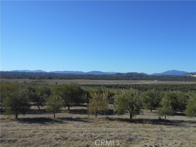 Detail Gallery Image 62 of 75 For 61969 Argyle Rd, King City,  CA 93930 - – Beds | – Baths