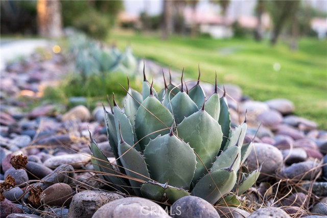 Detail Gallery Image 63 of 73 For 56815 Jack Nicklaus Bld, La Quinta,  CA 92253 - 3 Beds | 3 Baths