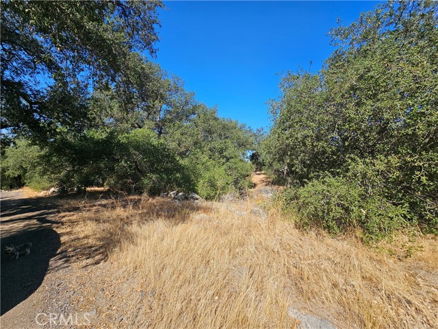 Detail Gallery Image 2 of 10 For 0 Highway 76, Pauma Valley,  CA 92061 - – Beds | – Baths