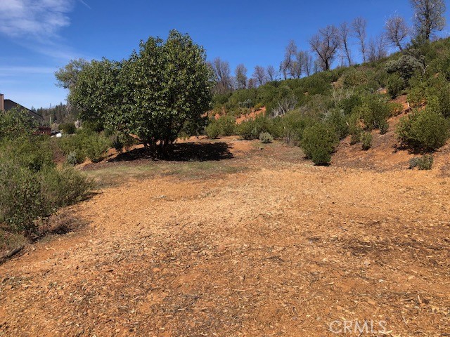 Detail Gallery Image 4 of 17 For 9738 Hoberg Dr, Cobb,  CA 95426 - – Beds | – Baths