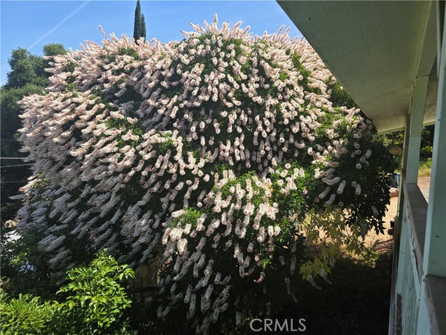 3445 Garfield Avenue, Clearlake CA: https://media.crmls.org/medias/3409c9c5-222c-4274-a619-7f29b8279afe.jpg