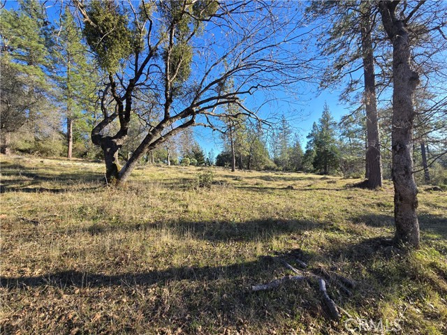 Detail Gallery Image 8 of 34 For 0 Double Eagle Way, Brownsville,  CA 95919 - – Beds | – Baths