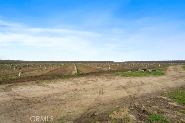 Detail Gallery Image 22 of 47 For 16221 Carrolton, Escalon,  CA 95320 - – Beds | – Baths