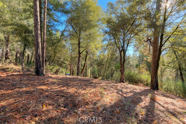 Detail Gallery Image 32 of 41 For 3625 Charqui Ct, Oroville,  CA 95965 - 3 Beds | 2 Baths