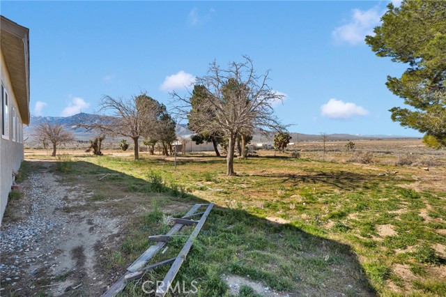 Detail Gallery Image 28 of 54 For 30263 State Highway 18, Lucerne Valley,  CA 92356 - 4 Beds | 2 Baths