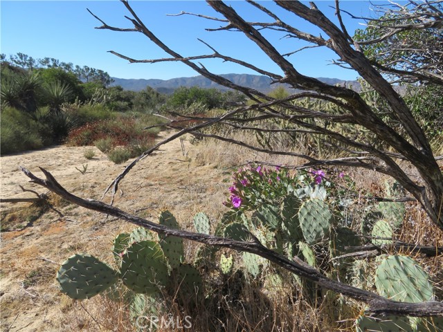 Detail Gallery Image 7 of 33 For 23 Jimson Rd, Anza,  CA 92539 - – Beds | – Baths