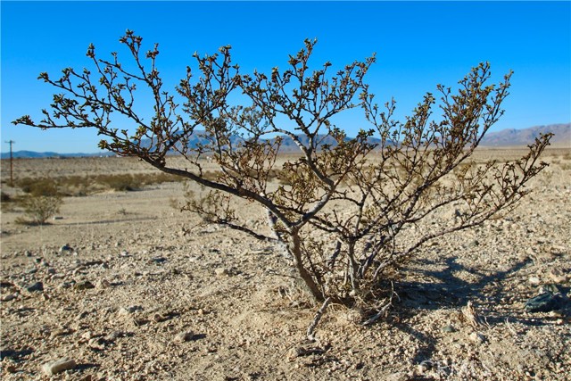 Detail Gallery Image 9 of 11 For 4093 Bullion Mountain Rd, Twentynine Palms,  CA 92277 - – Beds | – Baths