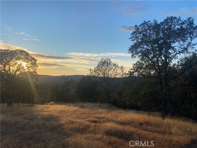 Detail Gallery Image 3 of 32 For 4764 4766 Hirsch Rd, Mariposa,  CA 95338 - – Beds | – Baths