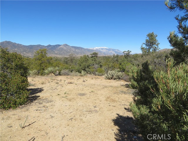 Detail Gallery Image 1 of 19 For 155 Lot #155 Buckthorn, Mountain Center,  CA 92561 - – Beds | – Baths