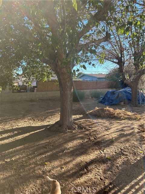 Detail Gallery Image 14 of 15 For 7674 Dumosa Ave, Yucca Valley,  CA 92284 - 2 Beds | 2 Baths