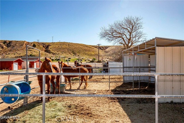 Detail Gallery Image 55 of 69 For 45408 160th, Lancaster,  CA 93536 - 1 Beds | 1 Baths
