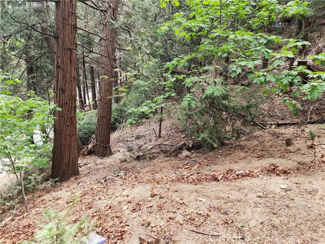 Detail Gallery Image 13 of 58 For 1023 Mercury, Crestline,  CA 92325 - 2 Beds | 1 Baths