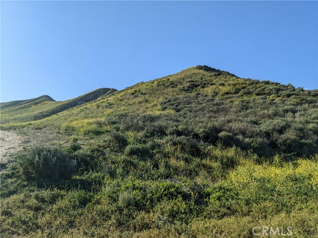 Detail Gallery Image 8 of 12 For 462 Waters Rd, Moorpark,  CA 93021 - – Beds | – Baths