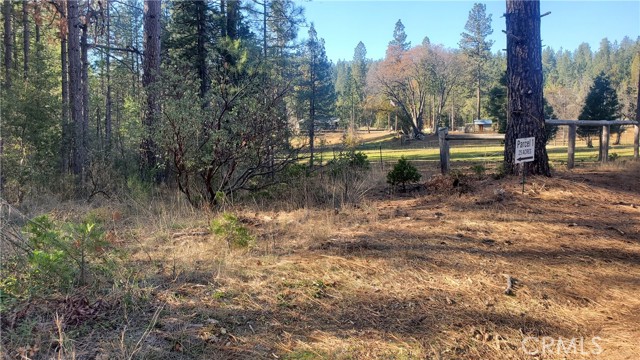 1 Coutolenc Road, Magalia, California 95954, ,Land,For Sale,1 Coutolenc Road,CRSN23217034