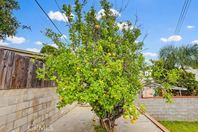 Detail Gallery Image 39 of 41 For 255 E Riggin, Monterey Park,  CA 91755 - 3 Beds | 1 Baths