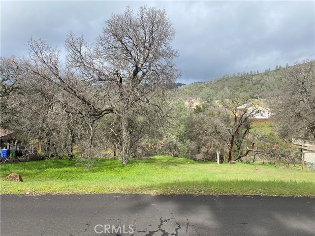 16153 Conestoga Road, Hidden Valley Lake, California 95467, ,Land,For Sale,16153 Conestoga Road,CRLC24034698