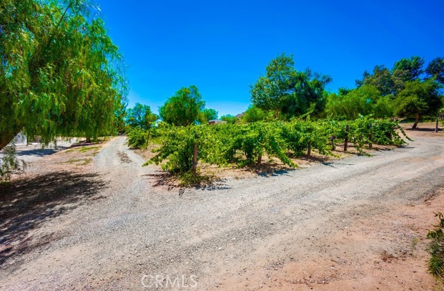 Detail Gallery Image 60 of 73 For 39555 Avenida Bonita, Murrieta,  CA 92562 - 5 Beds | 4 Baths