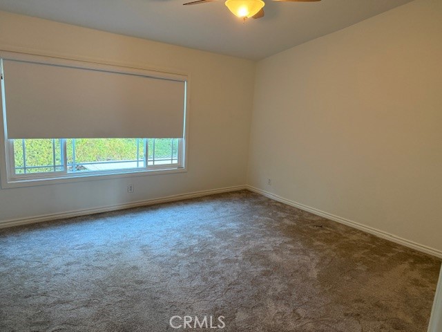 MLS #NP25259219 image #13