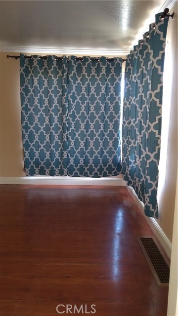 Living room windows