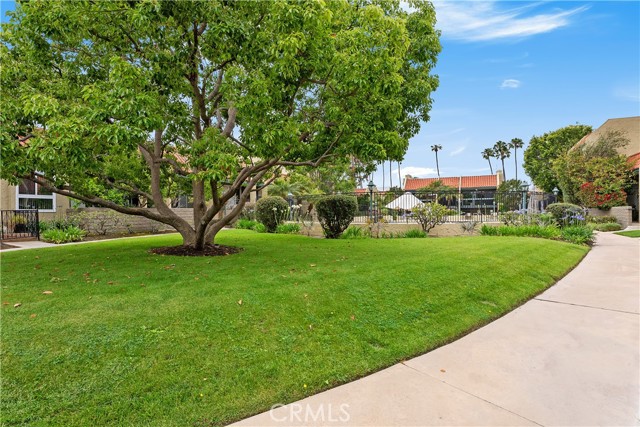 980 Palo Verde Avenue, Long Beach CA: https://media.crmls.org/medias/344507a3-9086-43a4-b643-08c835dac395.jpg