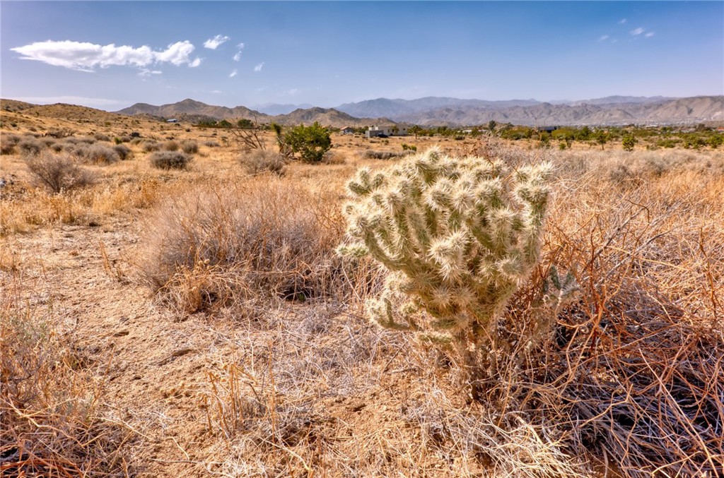 MLS #JT25046600 image #35