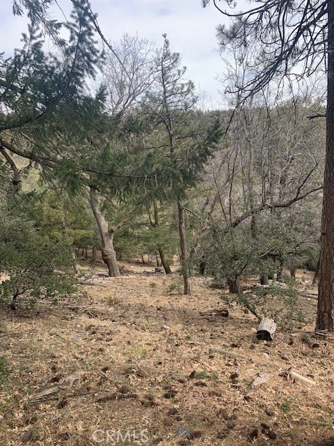 0 Fir, Cedarpines Park, CA, 92322 0 Fir, Cedarpines Park, CA, 92322