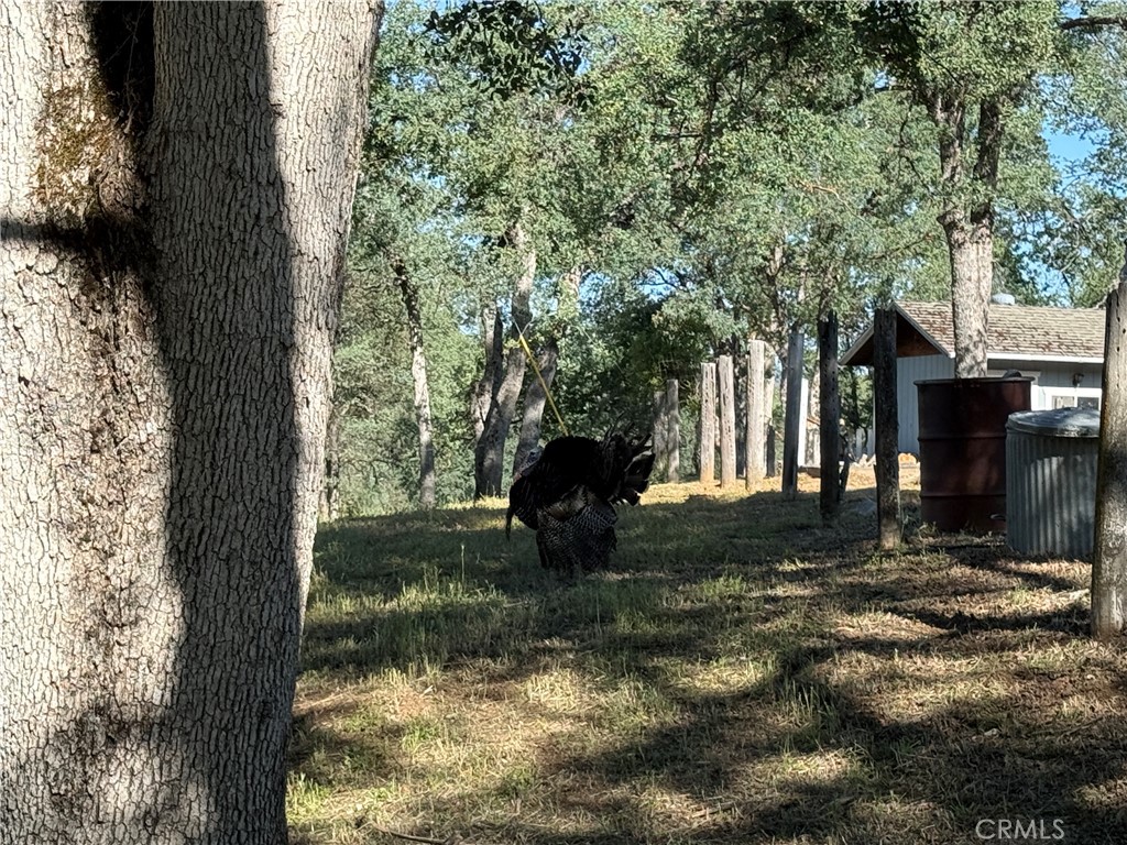https://media.crmls.org/medias/344fbfa8-8077-4ea4-aa3b-4cabd53719a5.jpg?preset=X-Large