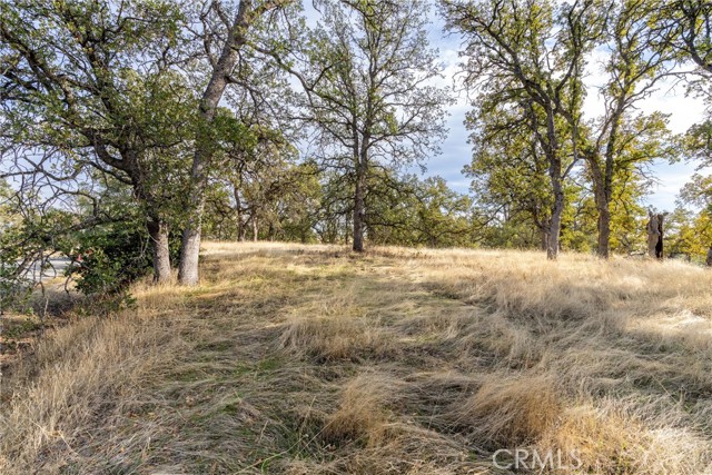 Detail Gallery Image 19 of 29 For 17333 Wagon Wheel Road, Corning,  CA 96021 - – Beds | – Baths