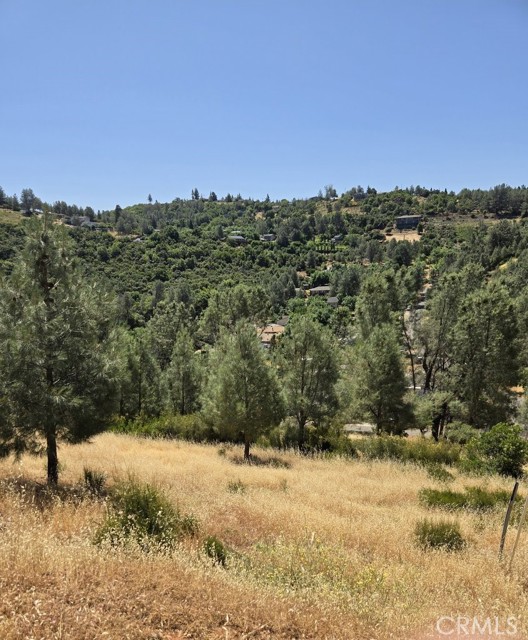 Front Image Thumbnail for CRLC26035716