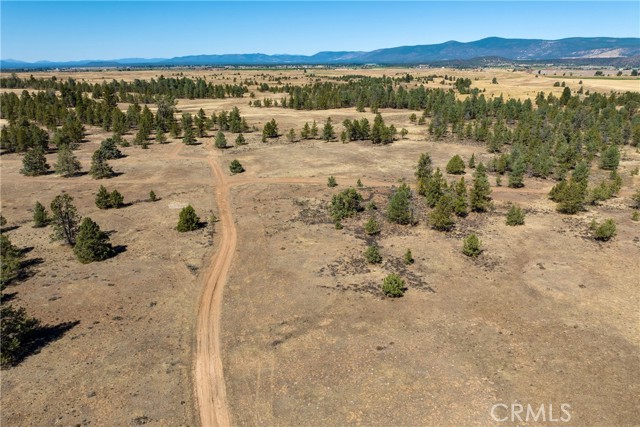 0 Old Highway Road Road, Other - See Remarks, California 96056, ,Commercial Sale,For Sale,0 Old Highway Road Road,CRSN23174400