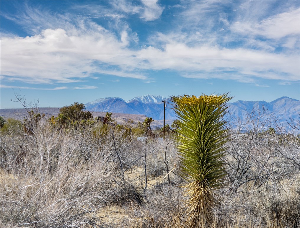 MLS #JT25097293 image #11