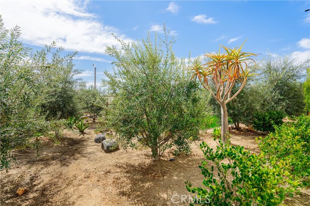 Detail Gallery Image 57 of 66 For 35103 Vintage Cove, Fallbrook,  CA 92028 - 4 Beds | 2/1 Baths