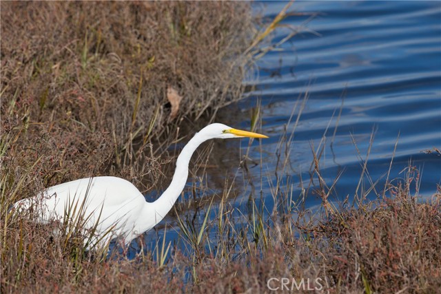 Detail Gallery Image 27 of 30 For 502 12th, Huntington Beach,  CA 92648 - 3 Beds | 2 Baths