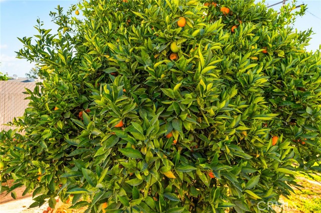 Detail Gallery Image 37 of 42 For 28960 Olympia, Menifee,  CA 92586 - 2 Beds | 2 Baths