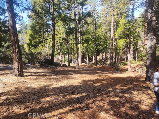 Detail Gallery Image 31 of 61 For 52547 Pine Cove Rd, Idyllwild,  CA 92549 - – Beds | – Baths