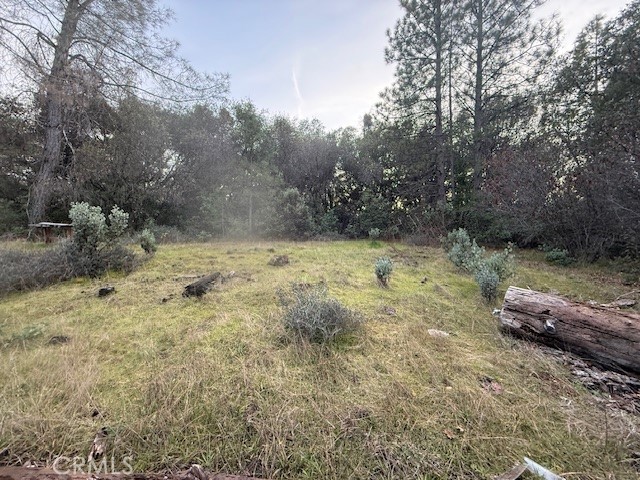 Detail Gallery Image 2 of 20 For 0 Rex Lane, Oroville,  CA 95966 - – Beds | – Baths