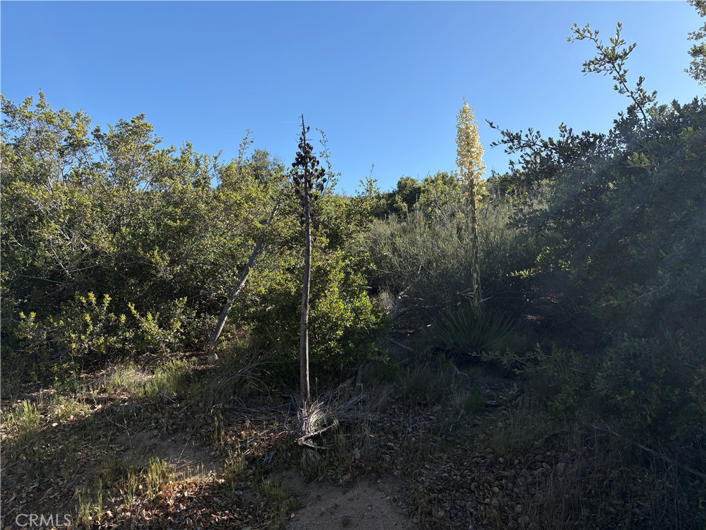 MLS #SW25110189 image #4