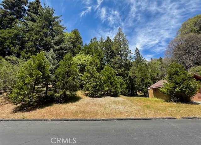 Detail Gallery Image 3 of 10 For 246 Cedar Ridge, Lake Arrowhead,  CA 92352 - – Beds | – Baths