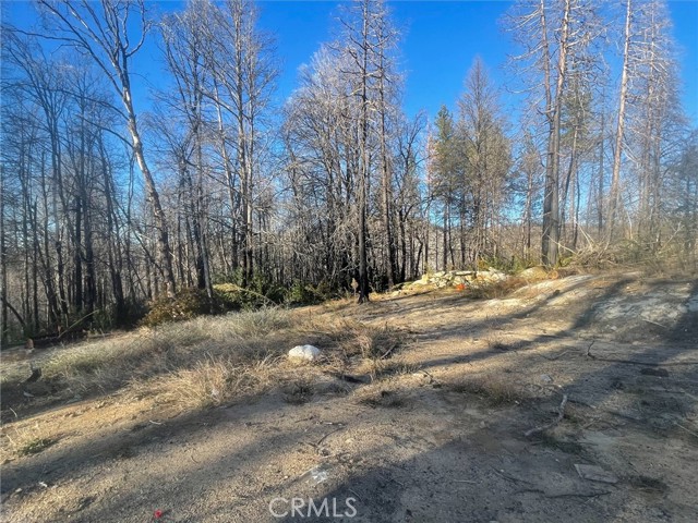 2629 Bald Rock, Berry Creek, CA, 95916 2629 Bald Rock, Berry Creek, CA, 95916