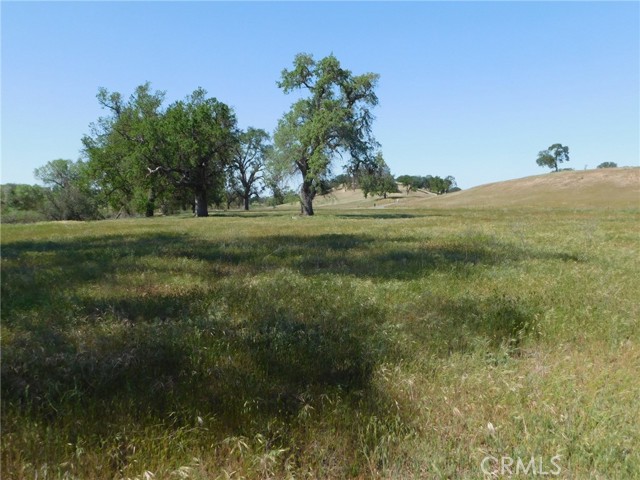 Detail Gallery Image 38 of 71 For 6675 Webster Rd, Creston,  CA 93432 - – Beds | – Baths