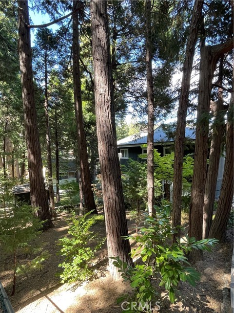 24379 San Moritz, Crestline, CA 92325