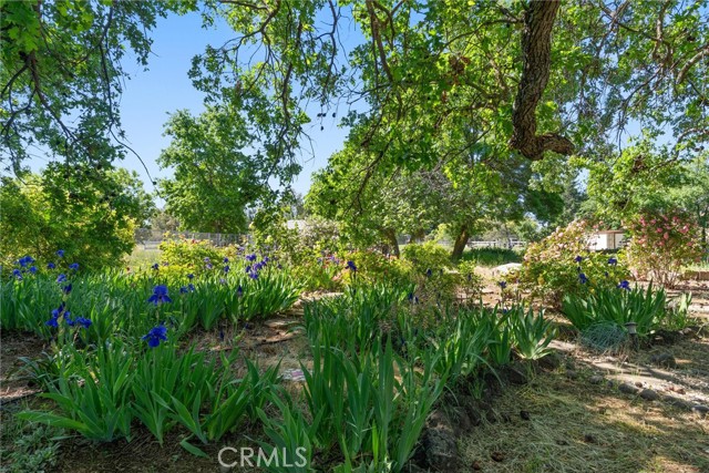 Detail Gallery Image 59 of 75 For 5 Roseanna Ct, Chico,  CA 95973 - 4 Beds | 2/1 Baths