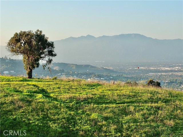 0 Casalero, La Habra Heights CA: https://media.crmls.org/medias/3486ef05-aefa-4898-8d42-9be14a97bb18.jpg