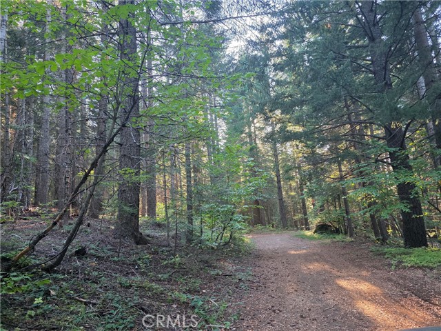 Detail Gallery Image 9 of 22 For 0 Muledeer Rd., Weed,  CA 96094 - – Beds | – Baths